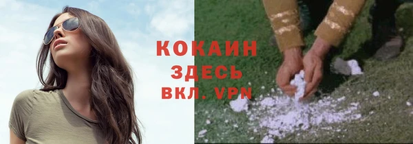 СК Горно-Алтайск