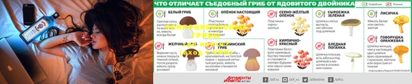 тгк Вязники