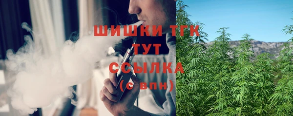 винт Вяземский