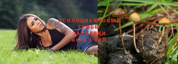 винт Вяземский